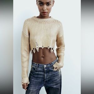Zara Foil Knit Crop Sweater